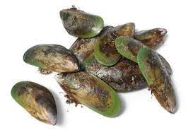 Groenlipmossel
